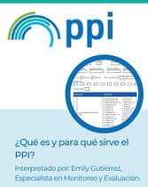 ¿Qué es y para qué sirve el PPI?