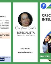 Tríptico complementario del Proyecto Especial Crece Inteligente